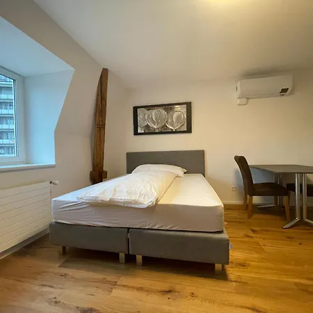 Schnyder's Studio_2 Apartment Rapperswil (St. Gallen)